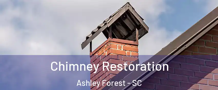 Chimney Restoration Ashley Forest - SC