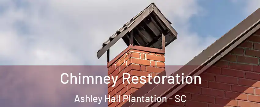 Chimney Restoration Ashley Hall Plantation - SC