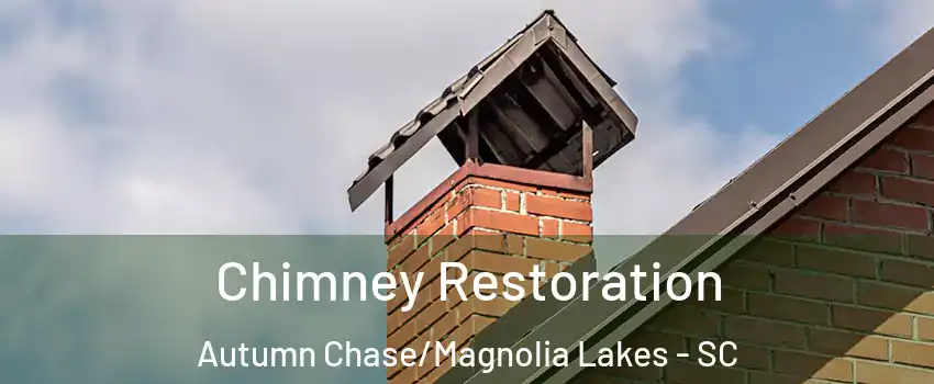 Chimney Restoration Autumn Chase/Magnolia Lakes - SC