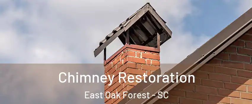 Chimney Restoration East Oak Forest - SC