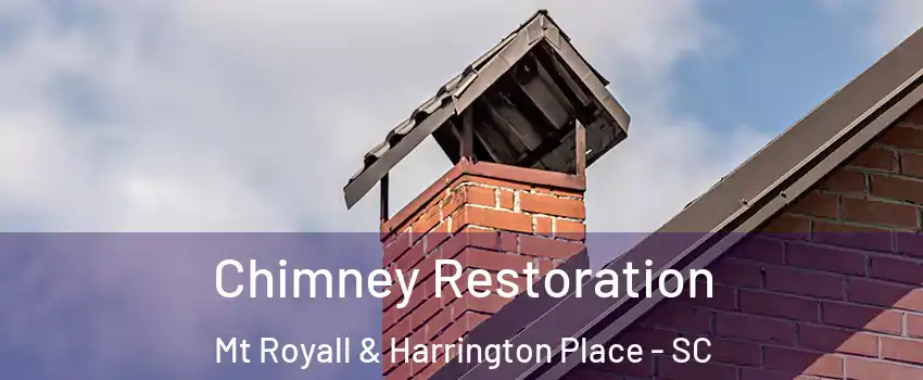 Chimney Restoration Mt Royall & Harrington Place - SC