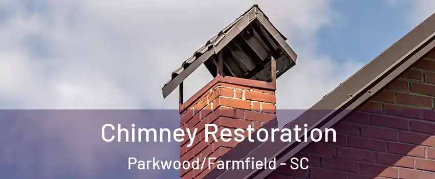 Chimney Restoration Parkwood/Farmfield - SC