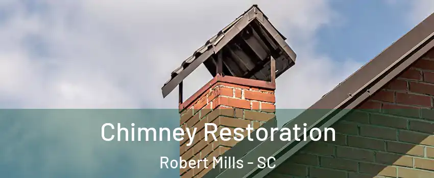 Chimney Restoration Robert Mills - SC