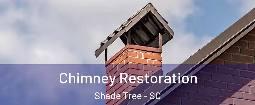 Chimney Restoration Shade Tree - SC