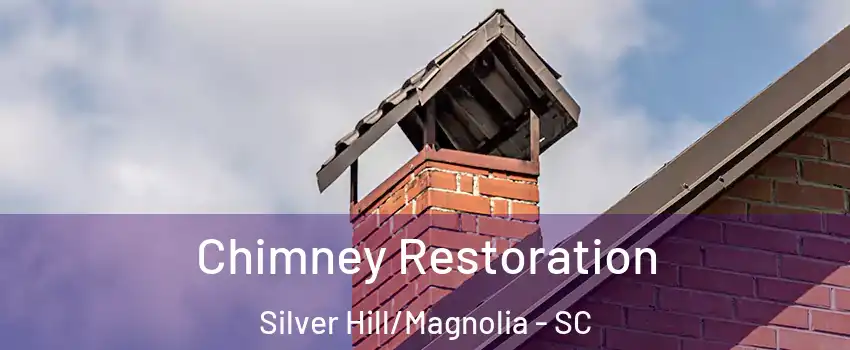 Chimney Restoration Silver Hill/Magnolia - SC