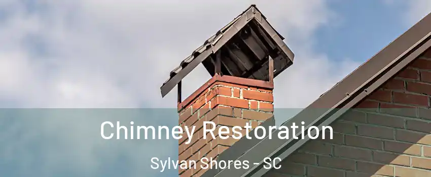 Chimney Restoration Sylvan Shores - SC