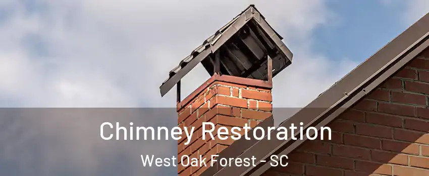 Chimney Restoration West Oak Forest - SC