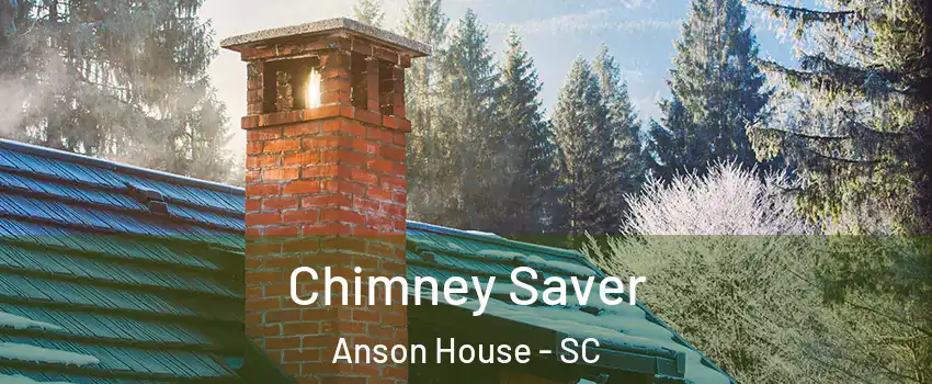 Chimney Saver Anson House - SC