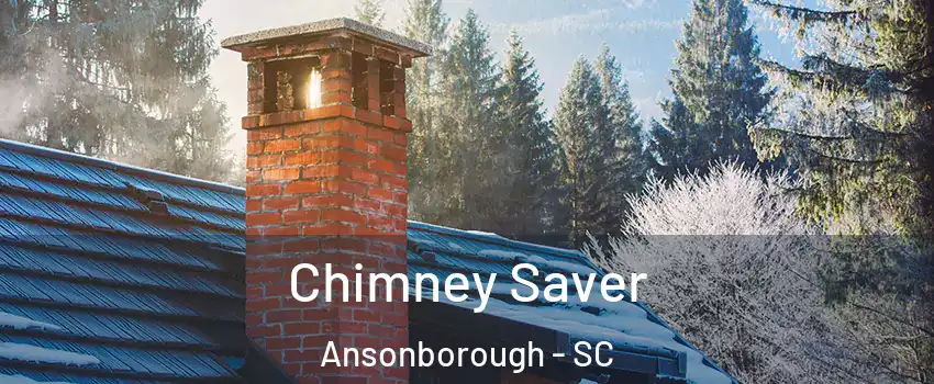 Chimney Saver Ansonborough - SC