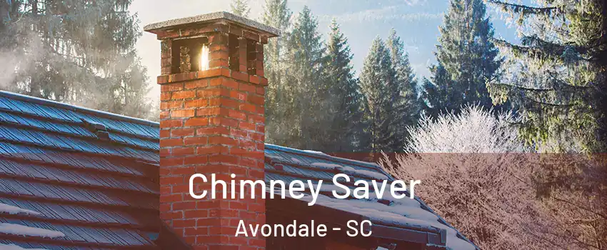 Chimney Saver Avondale - SC