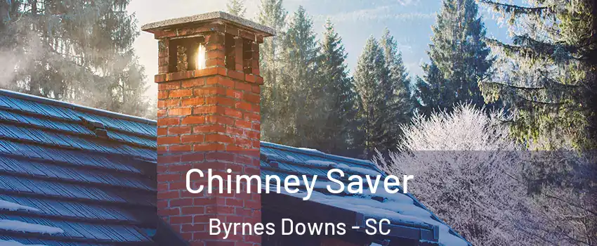 Chimney Saver Byrnes Downs - SC