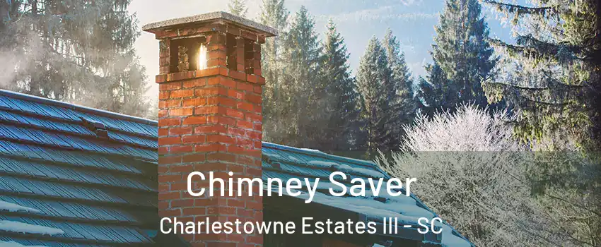 Chimney Saver Charlestowne Estates III - SC