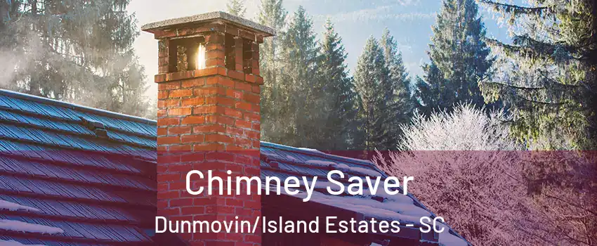 Chimney Saver Dunmovin/Island Estates - SC