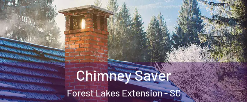 Chimney Saver Forest Lakes Extension - SC