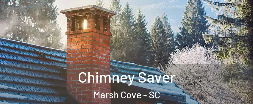 Chimney Saver Marsh Cove - SC