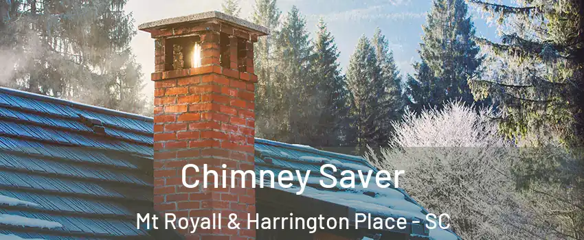 Chimney Saver Mt Royall & Harrington Place - SC