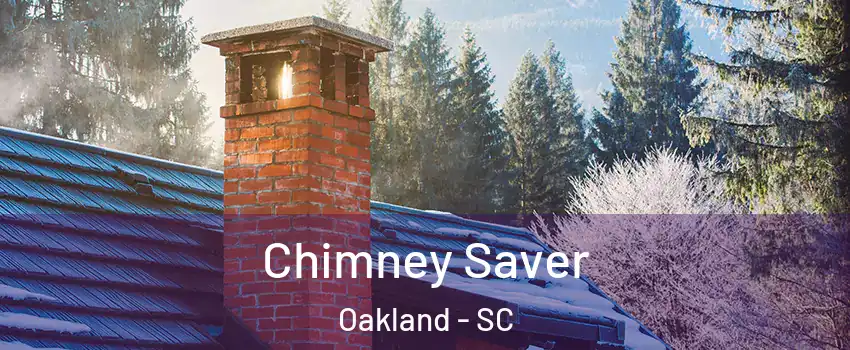 Chimney Saver Oakland - SC