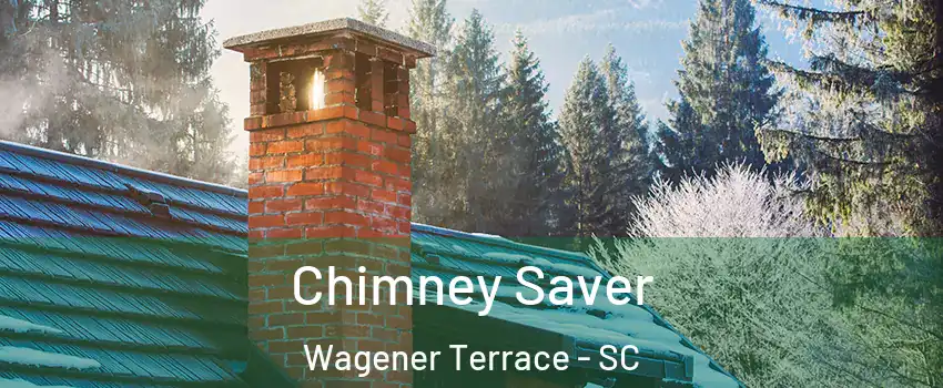 Chimney Saver Wagener Terrace - SC