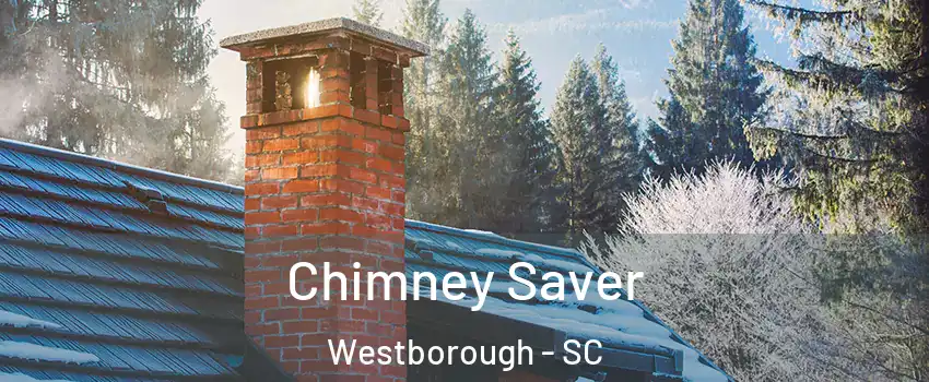 Chimney Saver Westborough - SC