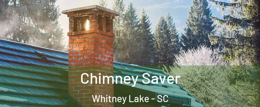 Chimney Saver Whitney Lake - SC