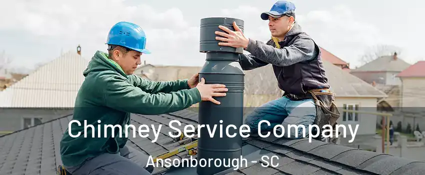 Chimney Service Company Ansonborough - SC