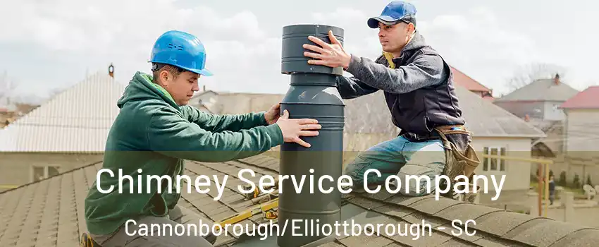 Chimney Service Company Cannonborough/Elliottborough - SC