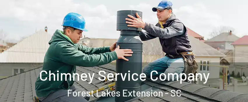 Chimney Service Company Forest Lakes Extension - SC