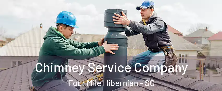 Chimney Service Company Four Mile Hibernian - SC