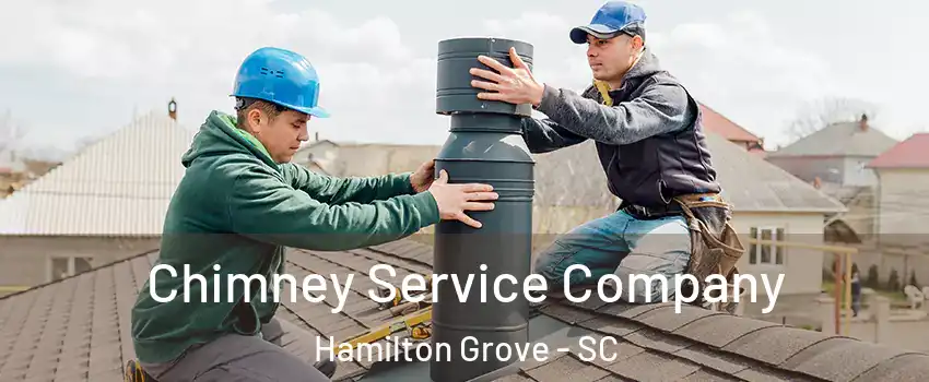 Chimney Service Company Hamilton Grove - SC