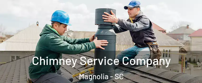 Chimney Service Company Magnolia - SC