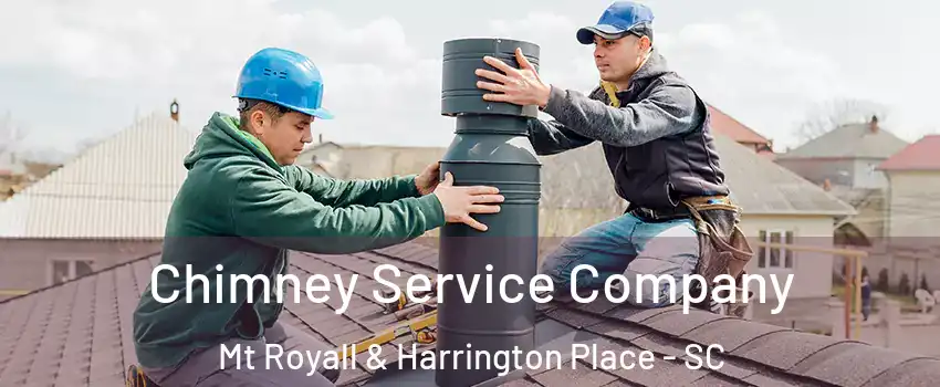 Chimney Service Company Mt Royall & Harrington Place - SC