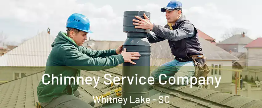 Chimney Service Company Whitney Lake - SC