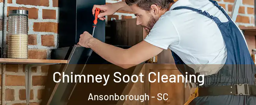 Chimney Soot Cleaning Ansonborough - SC