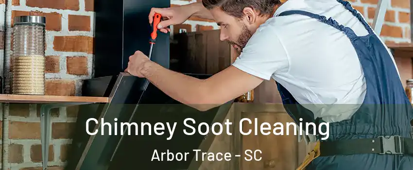 Chimney Soot Cleaning Arbor Trace - SC