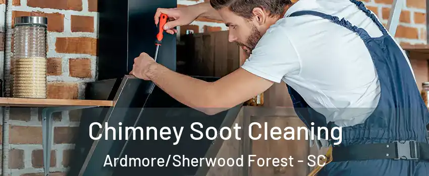 Chimney Soot Cleaning Ardmore/Sherwood Forest - SC