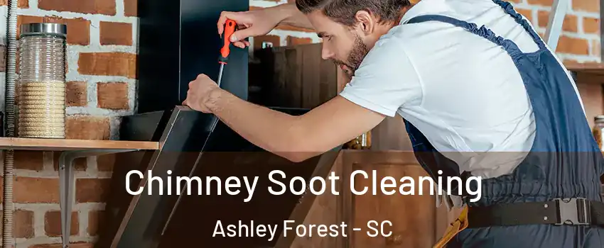 Chimney Soot Cleaning Ashley Forest - SC