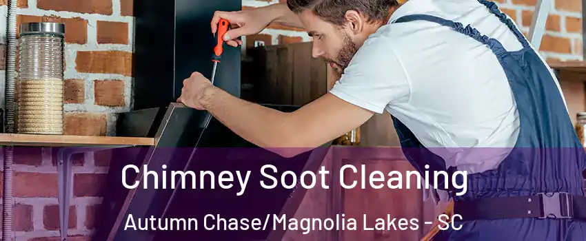 Chimney Soot Cleaning Autumn Chase/Magnolia Lakes - SC