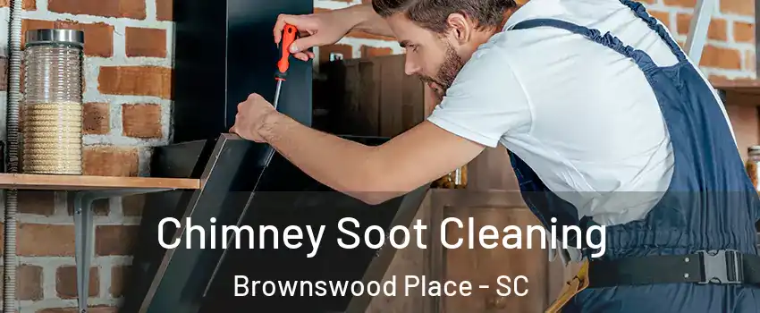 Chimney Soot Cleaning Brownswood Place - SC