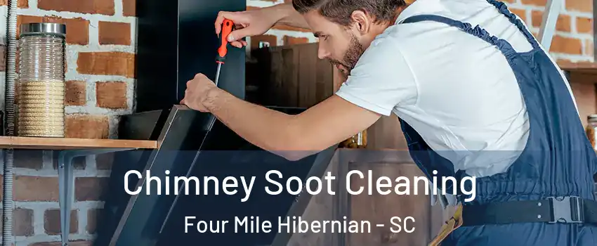 Chimney Soot Cleaning Four Mile Hibernian - SC