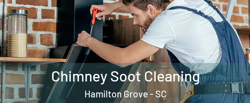 Chimney Soot Cleaning Hamilton Grove - SC