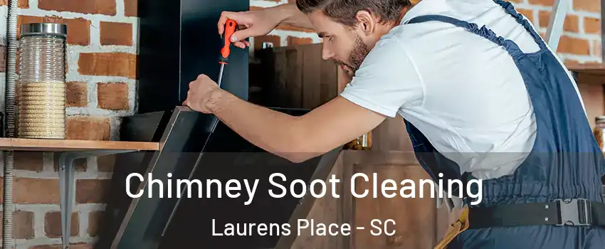 Chimney Soot Cleaning Laurens Place - SC