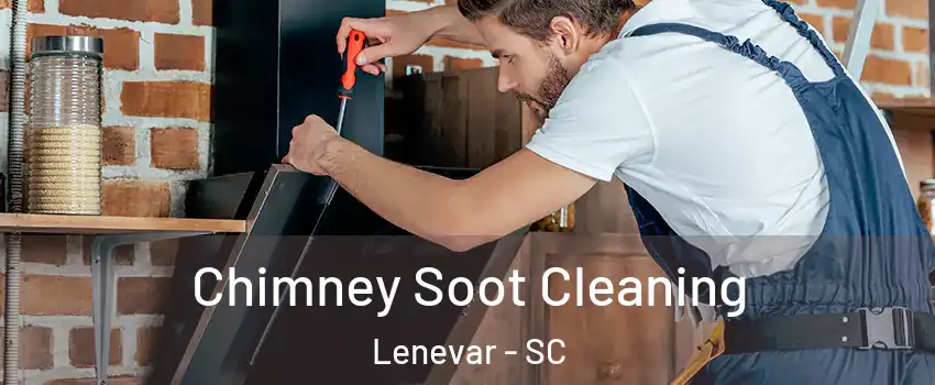 Chimney Soot Cleaning Lenevar - SC