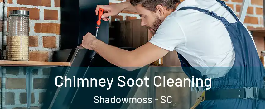 Chimney Soot Cleaning Shadowmoss - SC