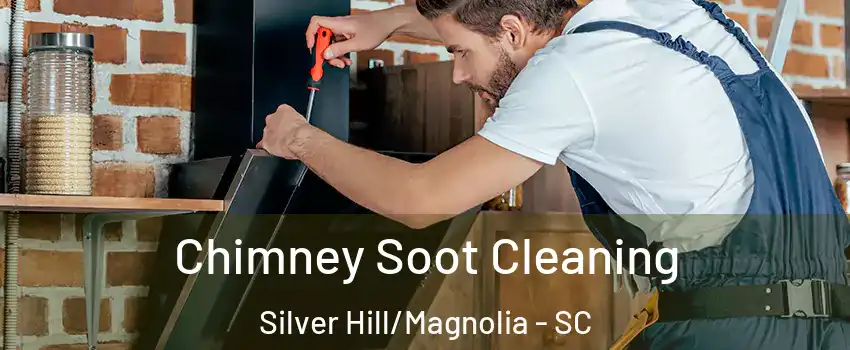 Chimney Soot Cleaning Silver Hill/Magnolia - SC