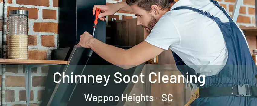 Chimney Soot Cleaning Wappoo Heights - SC