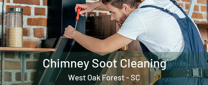 Chimney Soot Cleaning West Oak Forest - SC