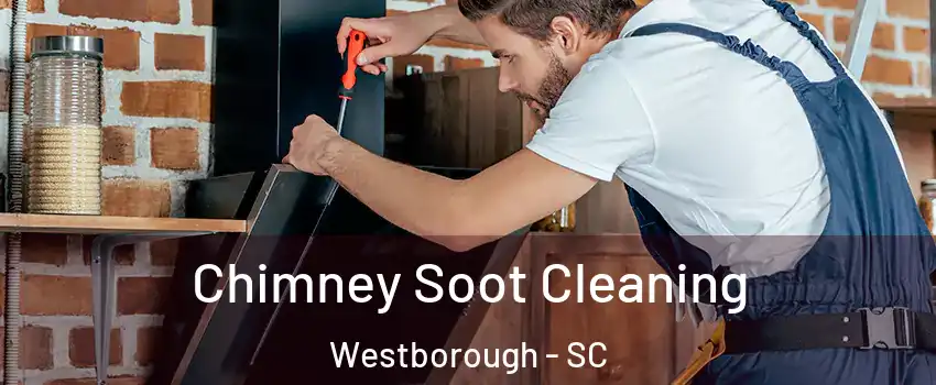 Chimney Soot Cleaning Westborough - SC