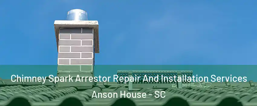 Chimney Spark Arrestor Repair And Installation Services Anson House - SC