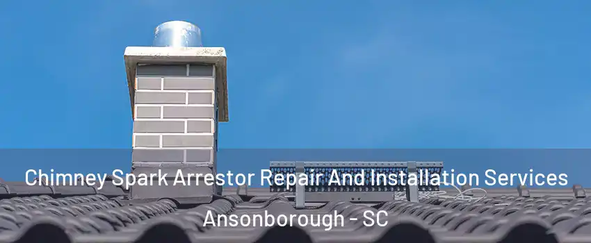 Chimney Spark Arrestor Repair And Installation Services Ansonborough - SC