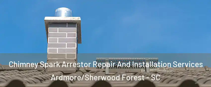 Chimney Spark Arrestor Repair And Installation Services Ardmore/Sherwood Forest - SC